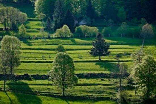 festein-dalsace-charcuterie-sans-nitrite-2